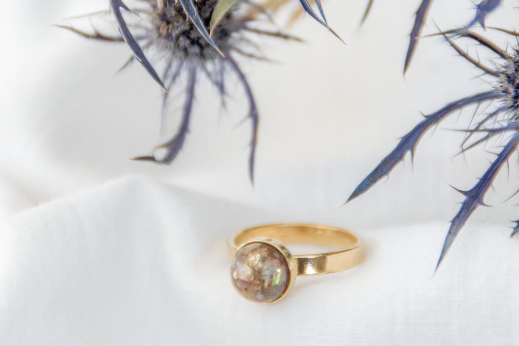 dsc0065.jpg