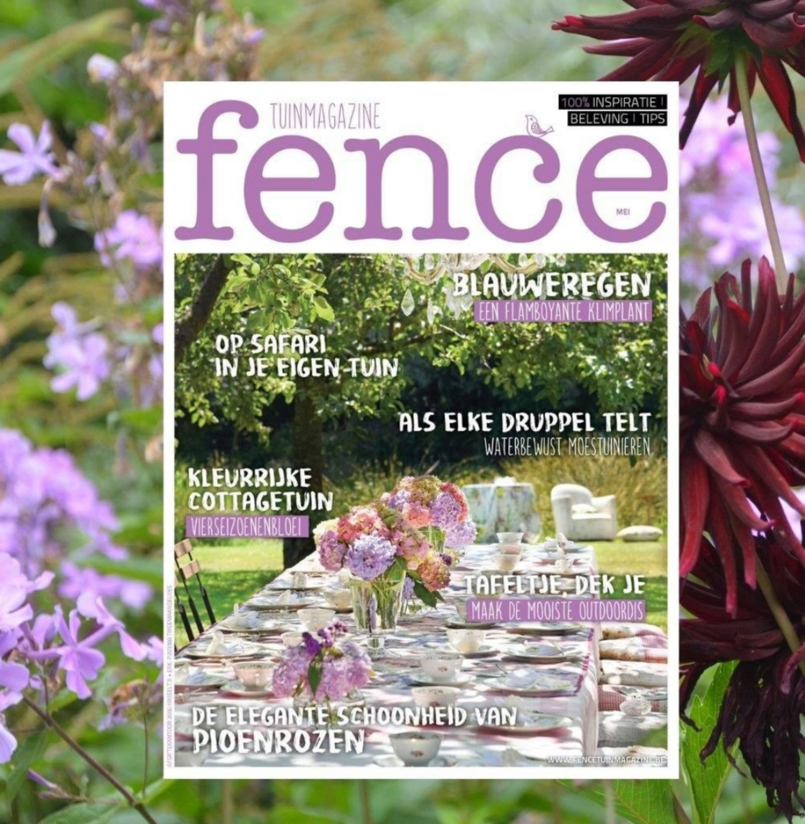 Schermafbeelding 2021-05-06 om 13.16.11 (1).png