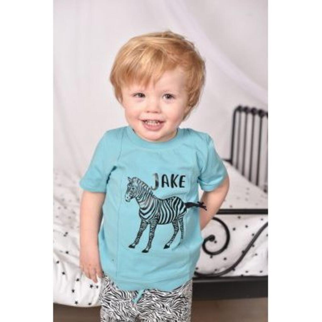 zebra-jpg-1636659852.jpg