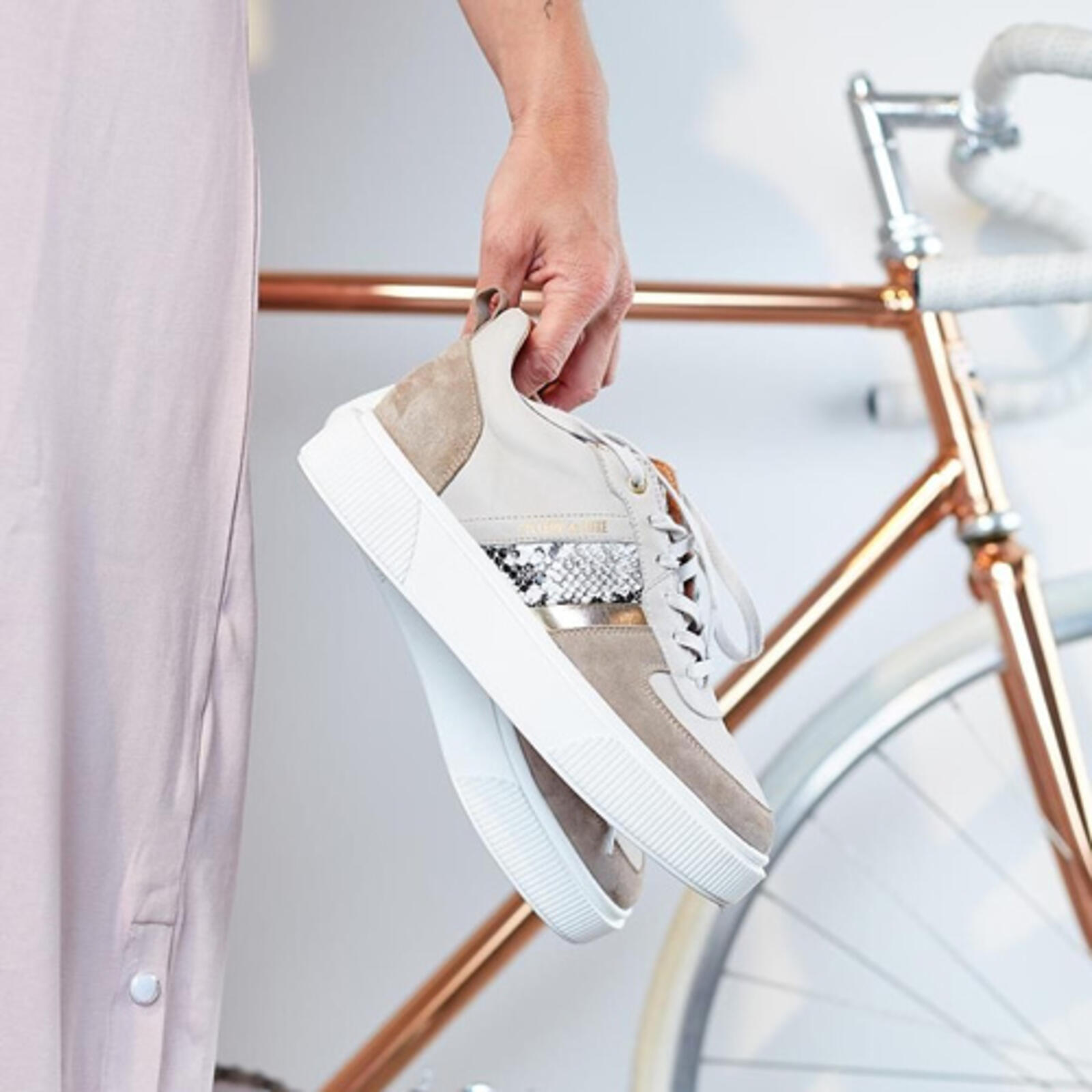 cycle-de-luxe-500x500-72ppi.jpg
