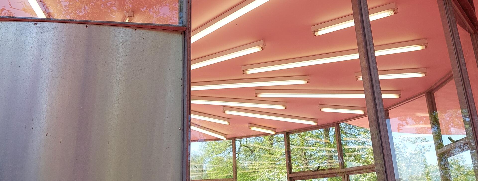 Noah's Garden