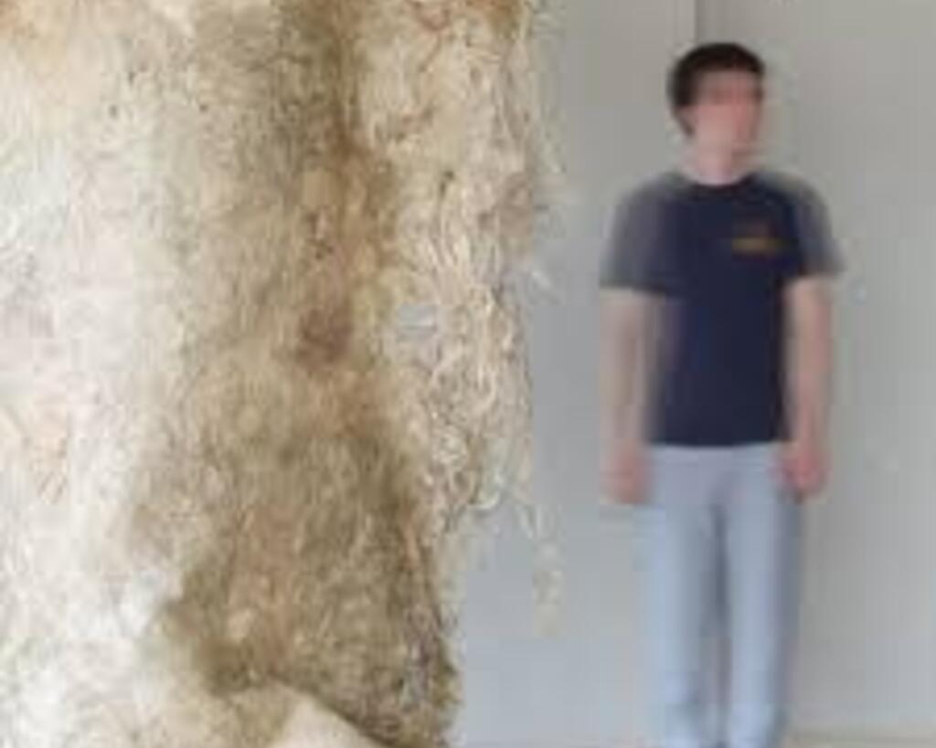 Alexander Marinus